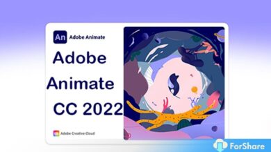 Adobe Animate CC 2022